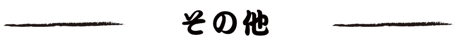 その他